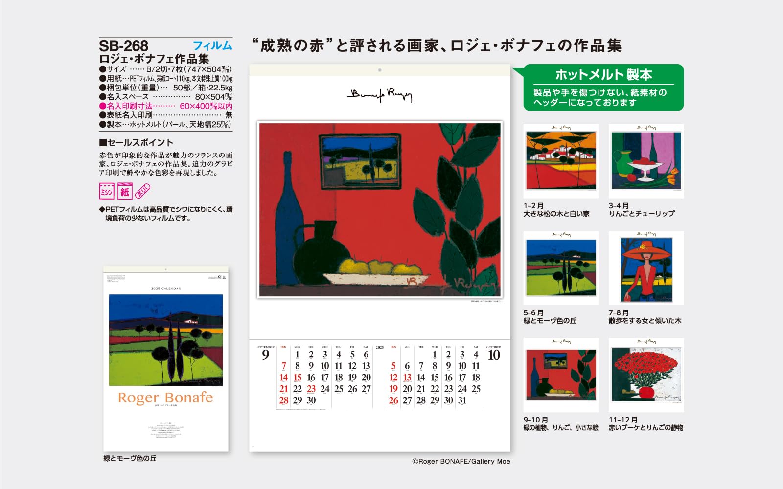 Amazon.co.jp: 2025年版(令和7年版) フィルム カレンダー 壁掛け